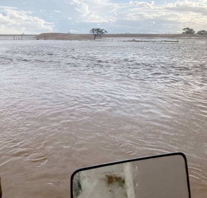 Adam Storer, who took this photograph, farms 20km northeast of Koorda, and said he had received 130mm of rain for February which was "unbelievable". "About 115mm fell between Saturday and Wednesday," Mr Storer said.