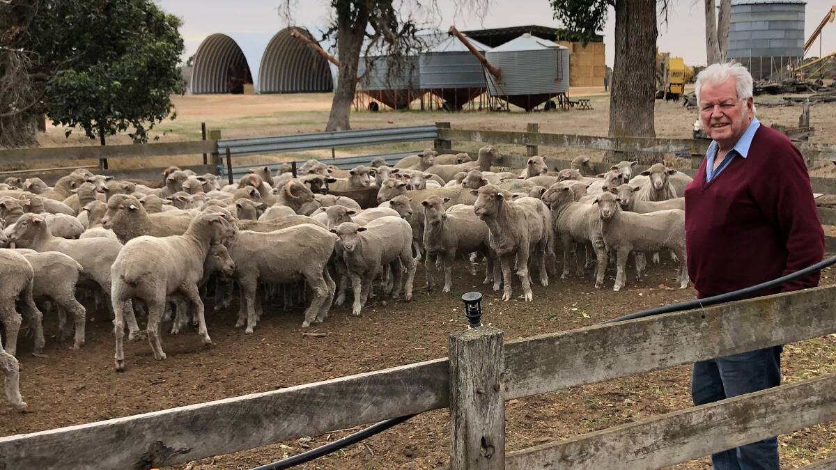 Still working with sheep at 84 and a local farm management consultant for more than 50 years, James Robert (Bob) Hall, Darkan, was appointed a Member of the Order of Australia in Monday's Queen's Birthday Honours list for significant service to the wool industry and agricultural sector.