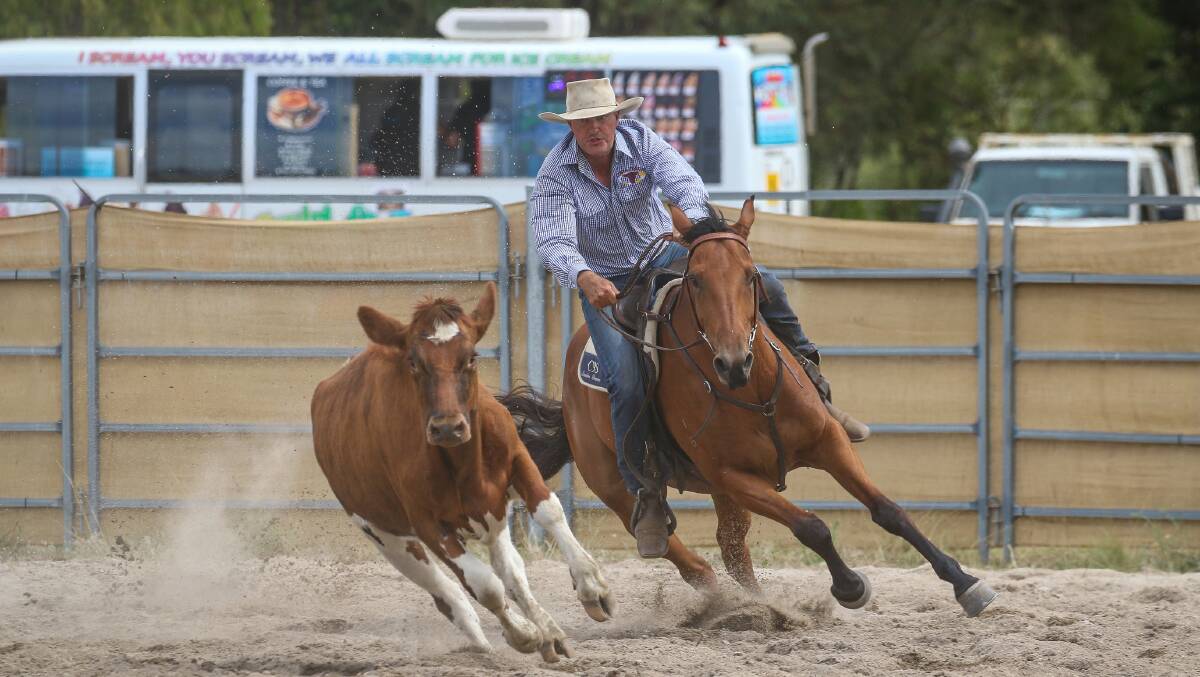 The States elite horses and riders will be competing in the Elders WA Campdraft competition across the weekend long event. Picture by Rustic - taken at the recent Southern Forests Campdraft event held at Manjimup.