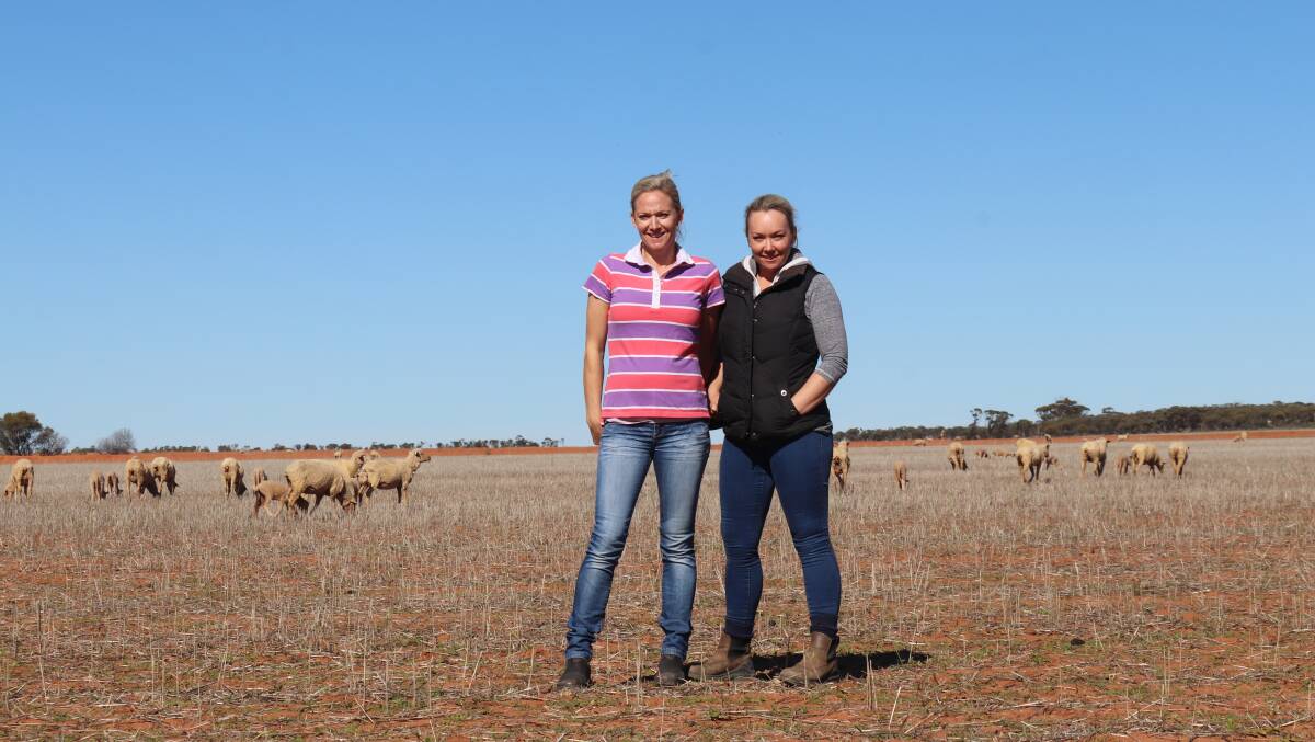 Sisters Amanda Smith and Sam King both share a love for sheep and farm next to each other.