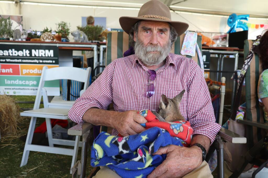  Adrian Roderick, Toodyay holding a baby joey.