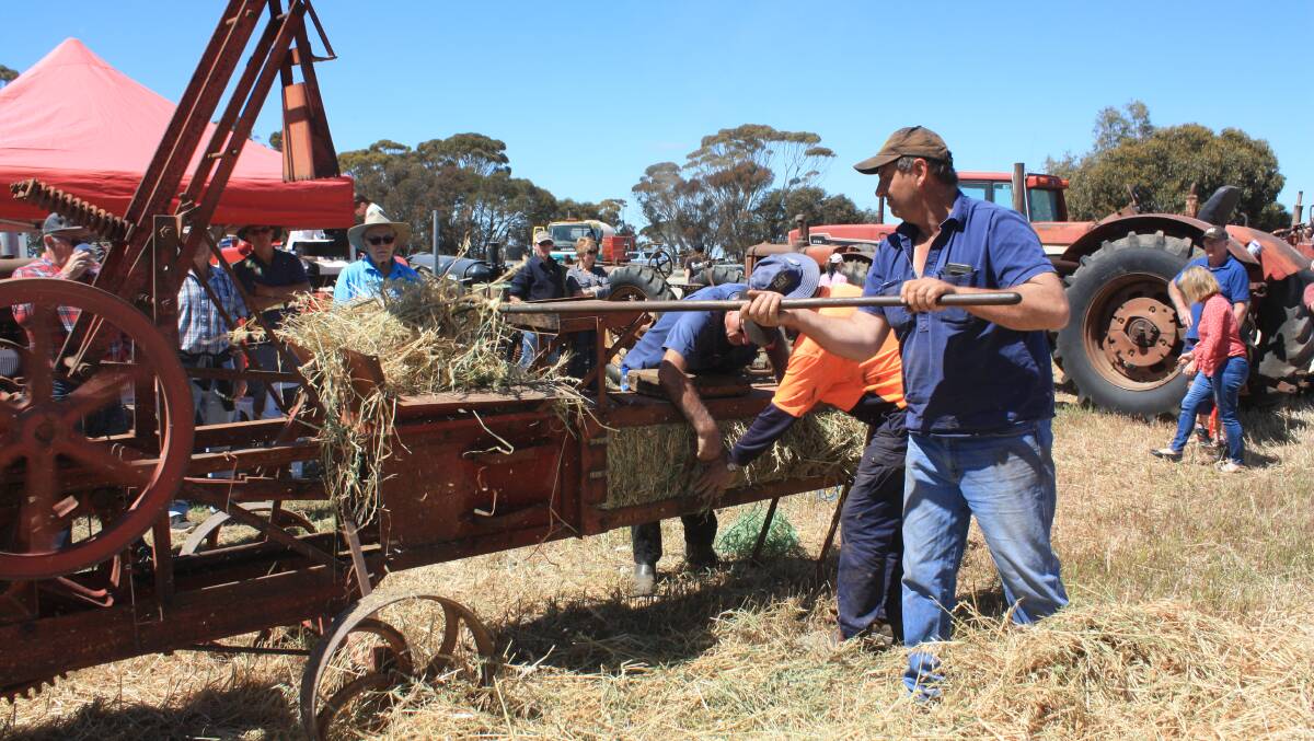 Wagin farmer Peter Spurr feeds hay into a rare 1921 stationary engine function hay press which required a person either side of the press to tie off bales, separated by wooden blocks.