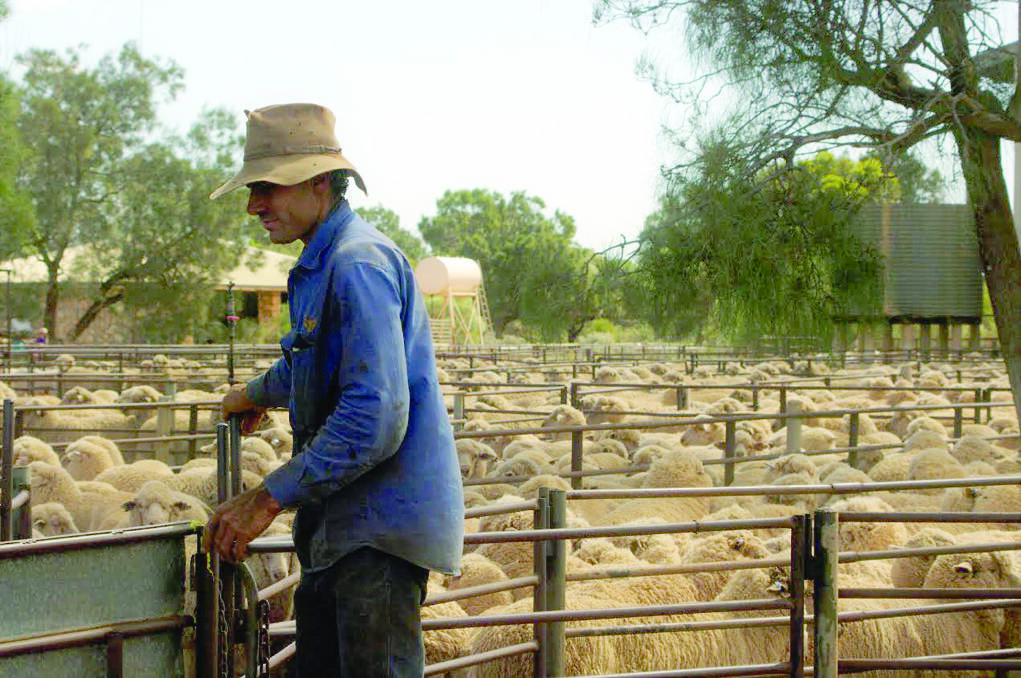 Rawlinna station manager Jimmy Wood grew up on the Nullarbor before returning in 2018, and enjoys the challenge of overseeing one of the largest sheep stations in the world.