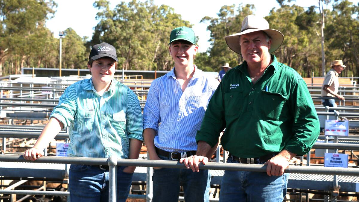 Thomas Piacintini (left) and Lachie Pollock, both on work experience with Richard Pollock, Pollock & Bray Agencies, Nutrien Livestock, Waroona, attended the combined agents weaner sale where prices continued the upward trend of the past few weeks.
