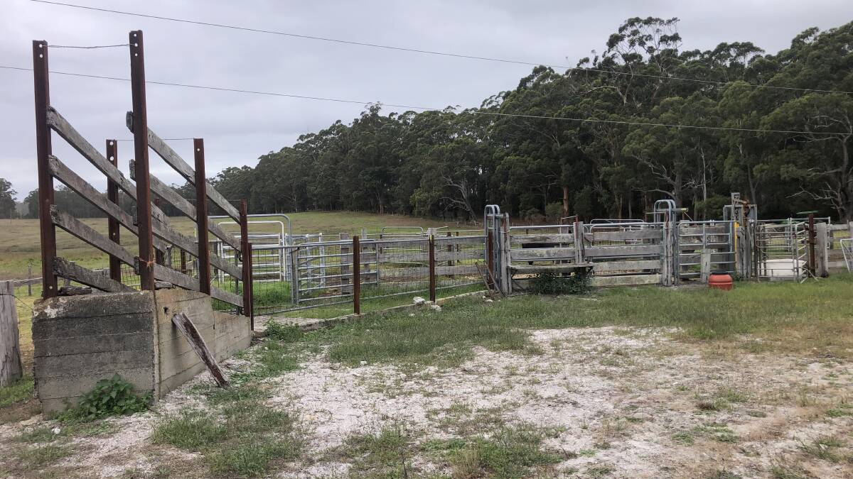 Prime cattle property at Northcliffe