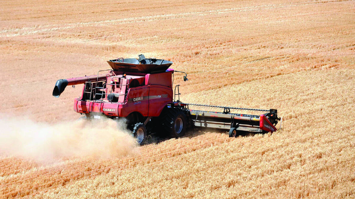 Barley leads the way in big WA harvest