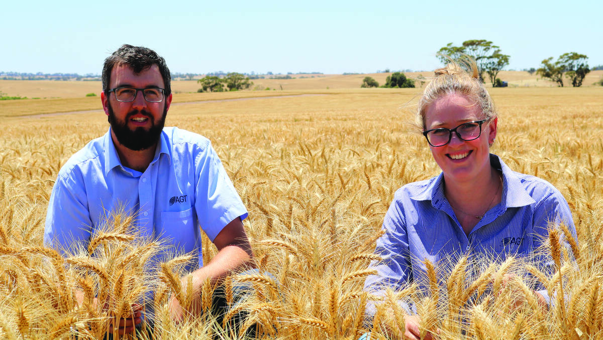 Northam-based AGT wheat breeder Dion Bennett and marketing manager Alana Hartley admire the company's long-season variety Catapult.