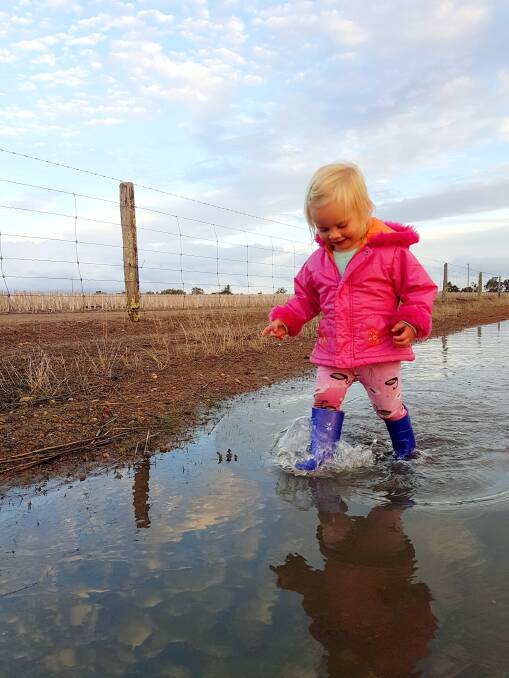 Hazel Schoof, 2, lives with her parents on the Hall's farm at Kendenup. She loved jumping in the puddles from the decent rainfall received.
