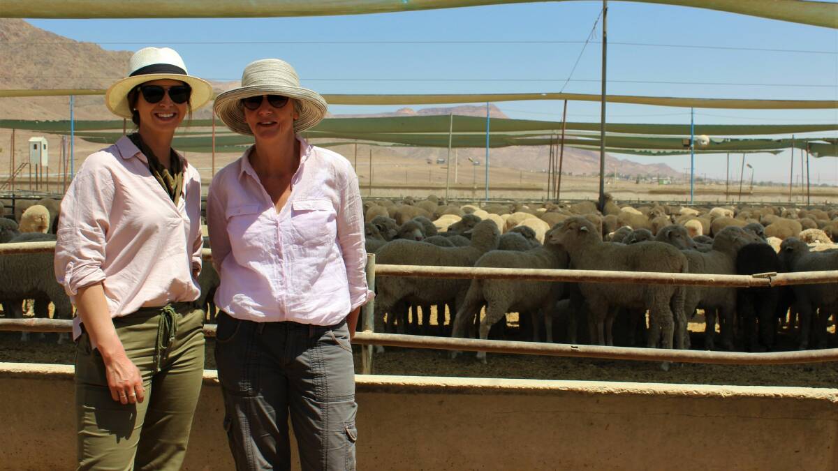 Jessie Davies (left), Narembeen and Lucy Anderton, LA.One Consulting, Albany, in front of Australian Merino sheep in an Aqaba, Jordan, feedlot.