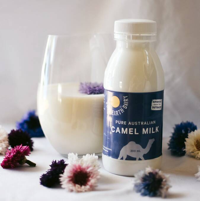 When it comes to taste, Marcel Steingiesser said camel milk and cow milk tasted much the same.
