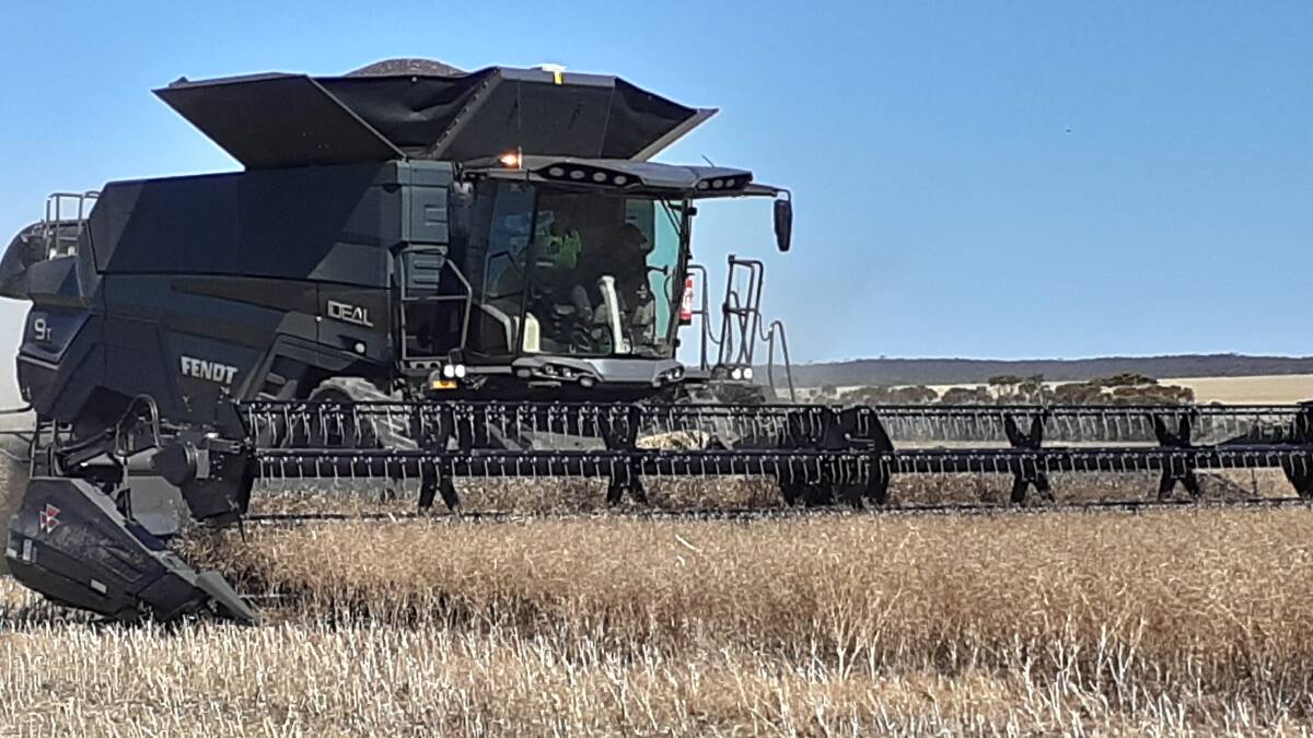 The Fendt IDEAL combine harvester is put through its paces at Esperance recently. The header is seen as the ideal header for South Coast harvesting conditions.