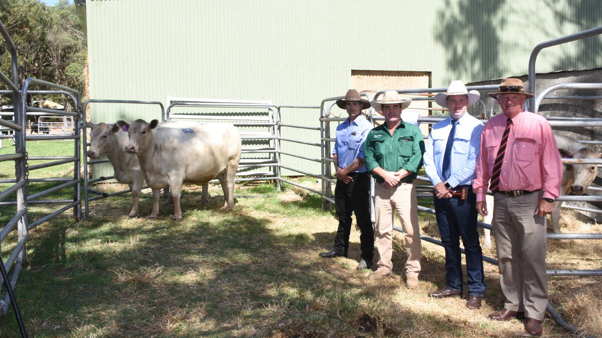 These two Murray Grey heifers topped the prices for PTIC heifers when they each sold at $10,000. With them were Montereys Travis Bower (left), Nutrien Livestock, Boyup Brook agent Jamie Abbs, auctioneer Cameron Petricevich, Cam Petricevich Auctioneering, Albany and Elders stud stock and Bridgetown representative Deane Allen. The heifers were purchased by the Maefair stud, Artarmon, New South Wales and the Bottlesford stud, Tungkillo, South Australia.