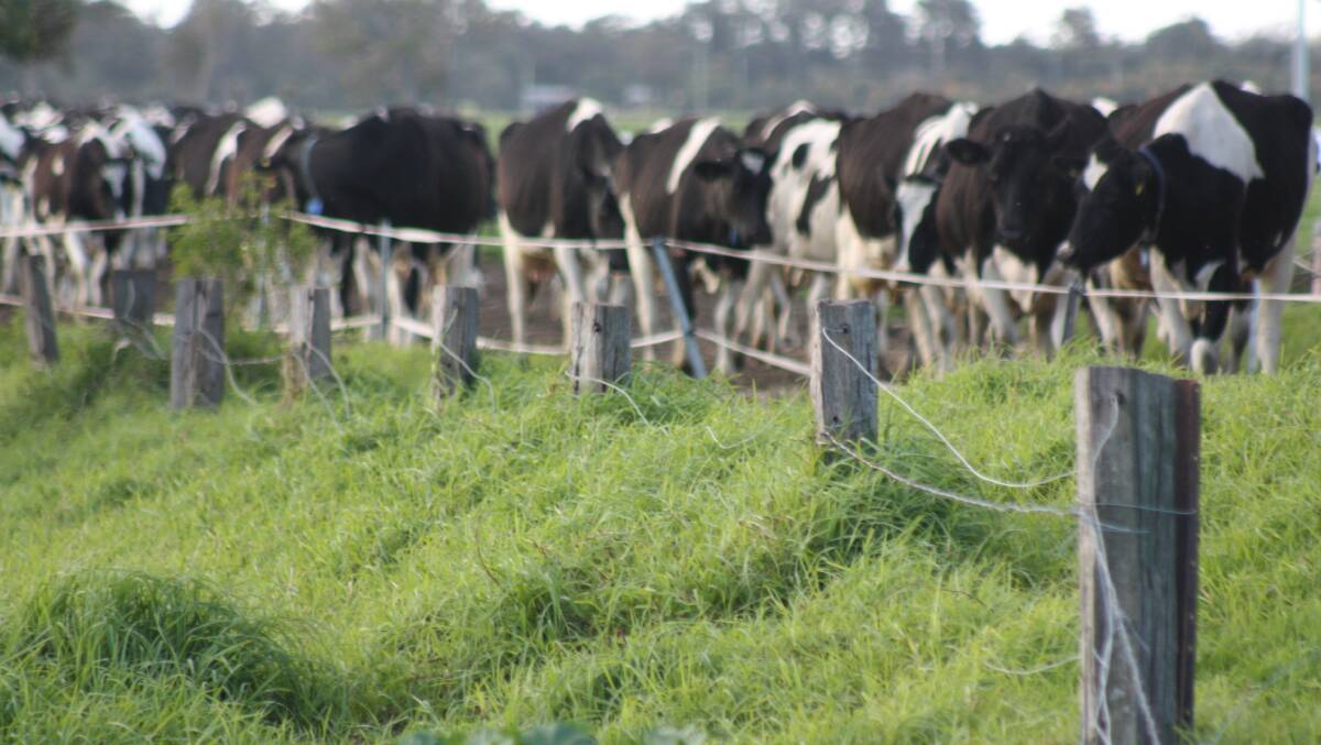 The three major milk processors in WA have now signed up to the voluntary code.