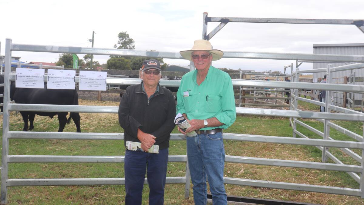 Neil Johnson, Albany, looked over cattle with his long-time friend, Nutrien livestock Albany agent Harry Carroll before the sale on Monday.