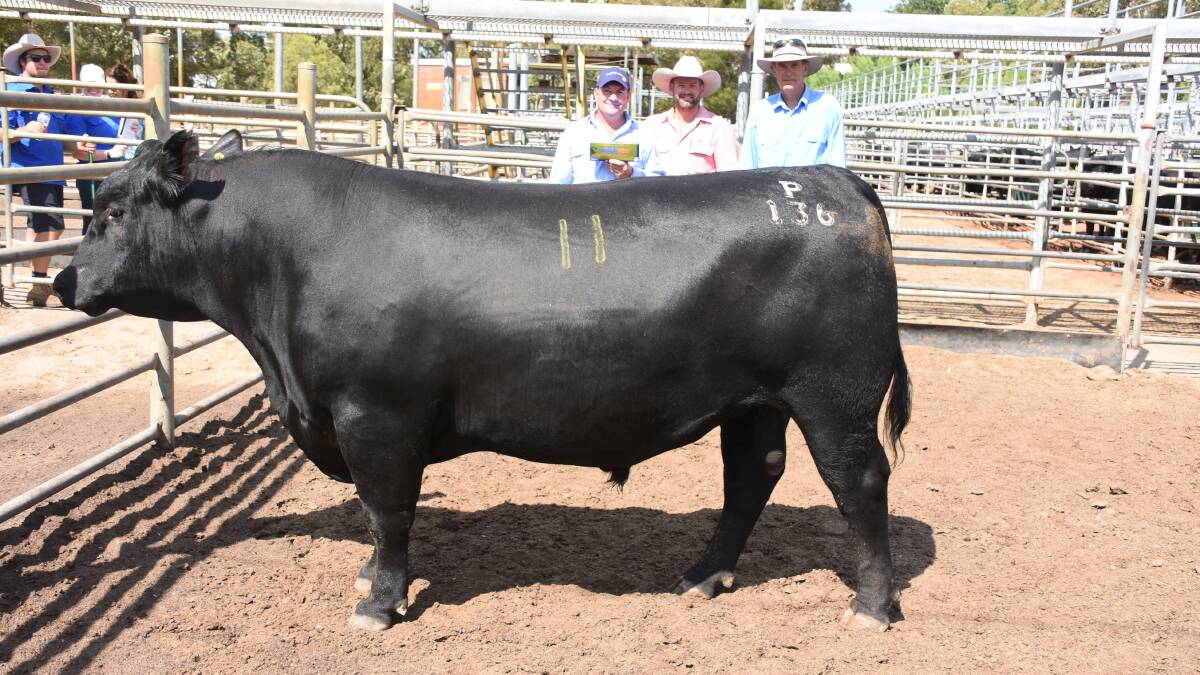 With the $12,000 top-priced bull at last week's Blackrock Angus bull sale at Boyanup purchased by the Warringah stud, Badgingarra, were Virbac central and northern WA area sales manager Darren Hendy (left), Elders Busselton representative Clint Gartrell and Blackrock principal Ken MacLeay. Virbac donated a 500 millilitre cattle Multimin package as a prize to the top-priced buyer.