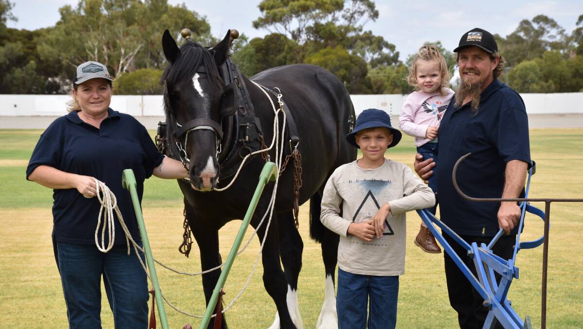Bakers Hill couple Bec Evans and Dave McKay and their children Rhys and Ivy will be a major highlight at Woolorama with their Australian Draught Horse mare Marlie Betty demonstrating horse-powered farm machinery.