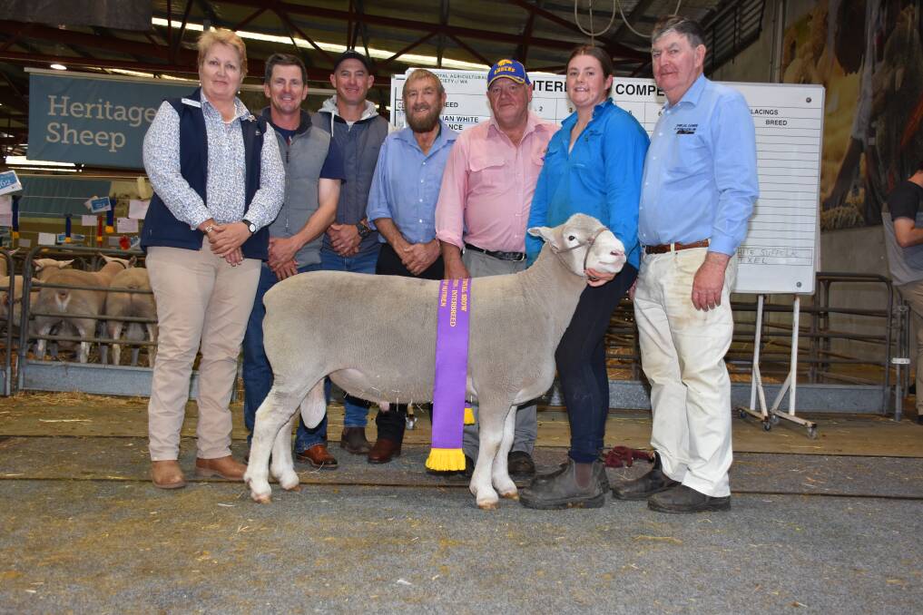  The interbreed supreme champion and grand champion meat breeds ram at this year's Perth Royal Show was exhibited by the Shirlee Downs Poll Dorset stud, Quairading. With the ram were judges Leanne Grant-Williams, WA College of Agriculture, Morawa, Nick Cheetham, Cheetara stud, Narembeen, Colin Holmes, Hyden, Donald Cochrane, Perth, Bruce Buswell, Beverley, Shirlee Downs' Zarah Squiers and her grandfather and stud co-principal Chris Squiers.