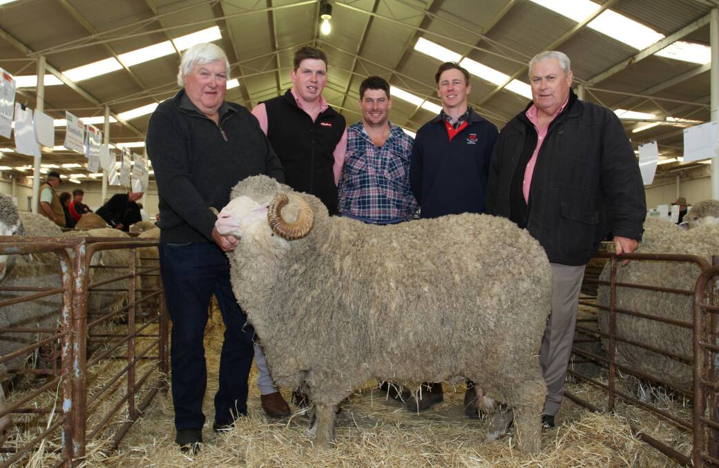 Auburn Valley stud co-principal Peter Rintoul (left), Williams, Callum O'Neill, Elders stud stock trainee, buyers Glenn and Shaun Smith, Wongamine Grazing, Northam and Kevin Broad, Elders stud stock, with the Auburn Valley four-tooth Merino ram that sold privately for $10,000. The ram carries Wanganella bloodlines and tested 21.8 micron, 3.3 SD, 15.1 CV and 98.3 per cent comfort factor. Mr Broad, who classes for both families, said the Smiths have been consistent buyers of Auburn Valley rams and were keen to secure this new sire. "The ram offers a new bloodline to their flock and is one of the better four-tooth rams available from Auburn Valley in recent years," he said. "We were taken by its stylish and soft wool and we should get a bit more fleece weight along with a good depth of body."