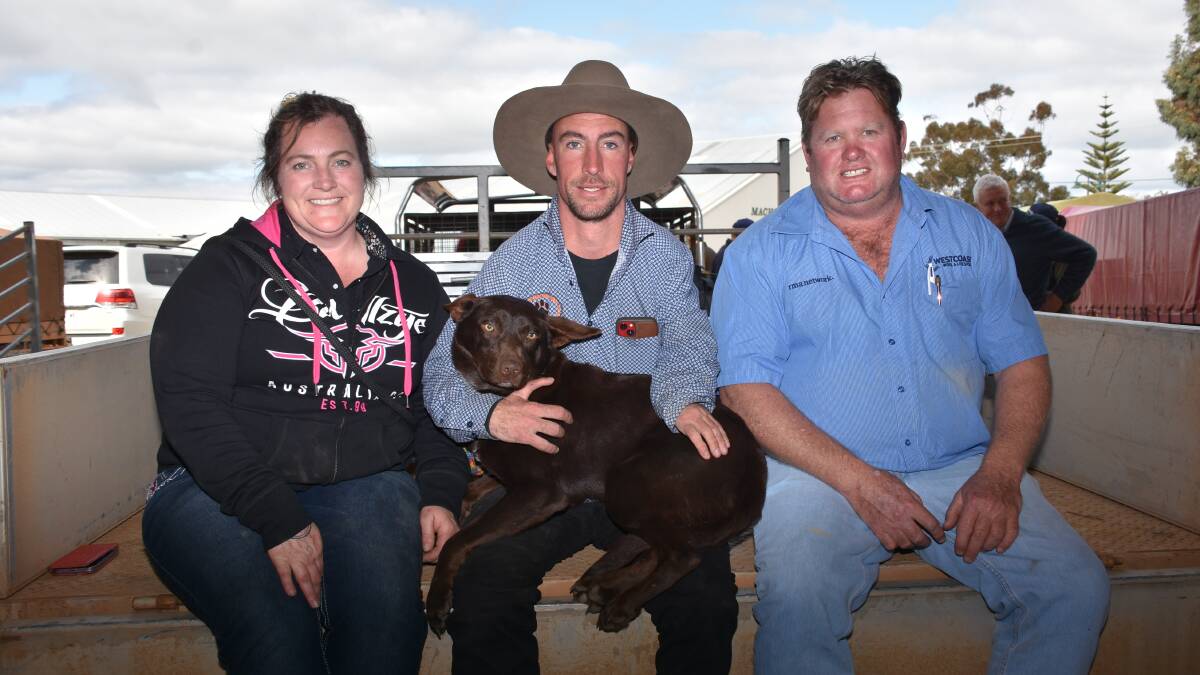 Celebrating the success of the sale were Heidi Cory (left) and Peter Barr, Barrkel Peters Kelpie stud, Pinnaroo, South Australia, with Westcoast Wool & Livestock WA sheep manager Lincon Gangell. In the sale Mr Barr offered and sold four Kelpies for an average of $7300. He achieved the sales second top price of $11,700 for a 15mo red Kelpie, Barrkel Peters Fire (pictured) which sold to an AuctionsPlus buyer.