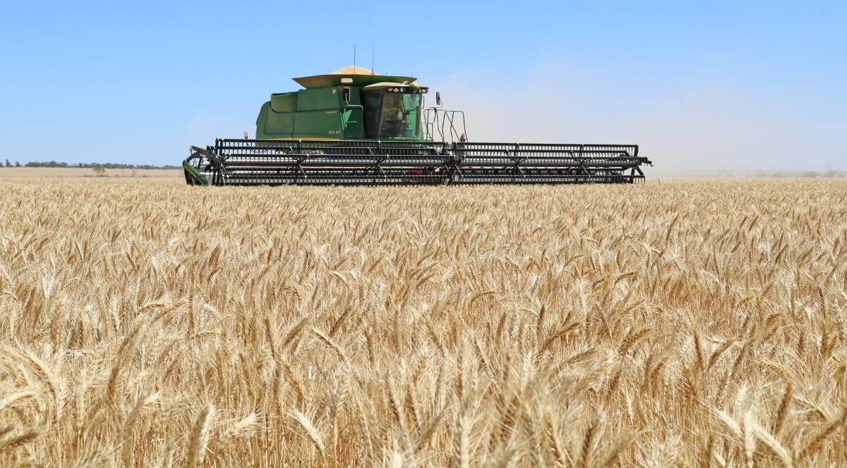 There is not a single commentator now sub-30 million tonnes for wheat, with some stretching to more than 35mt given the exceptional yields in New South Wales.