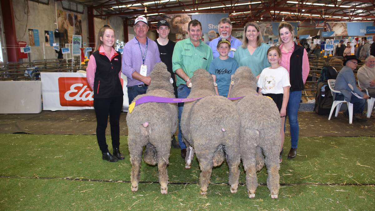 The Mullan familys Eastville Park stud, Wickepin, won the group class for three Merino or Poll Merino rams under 1.5 years and with it a $3000 cash prize sponsored by Elders at this years Perth Royal Show. With the winning team were Elders stud stock trainee Lauren Rayner (left), Eastville Parks Grantly and Will Mullan, Nutrien Breeding Breeding representative Mitchell Crosby, Eastville Parks Hugh, Rob, Elise and Isla Mullan and Elders Merredin wool representative Alex Prowse.