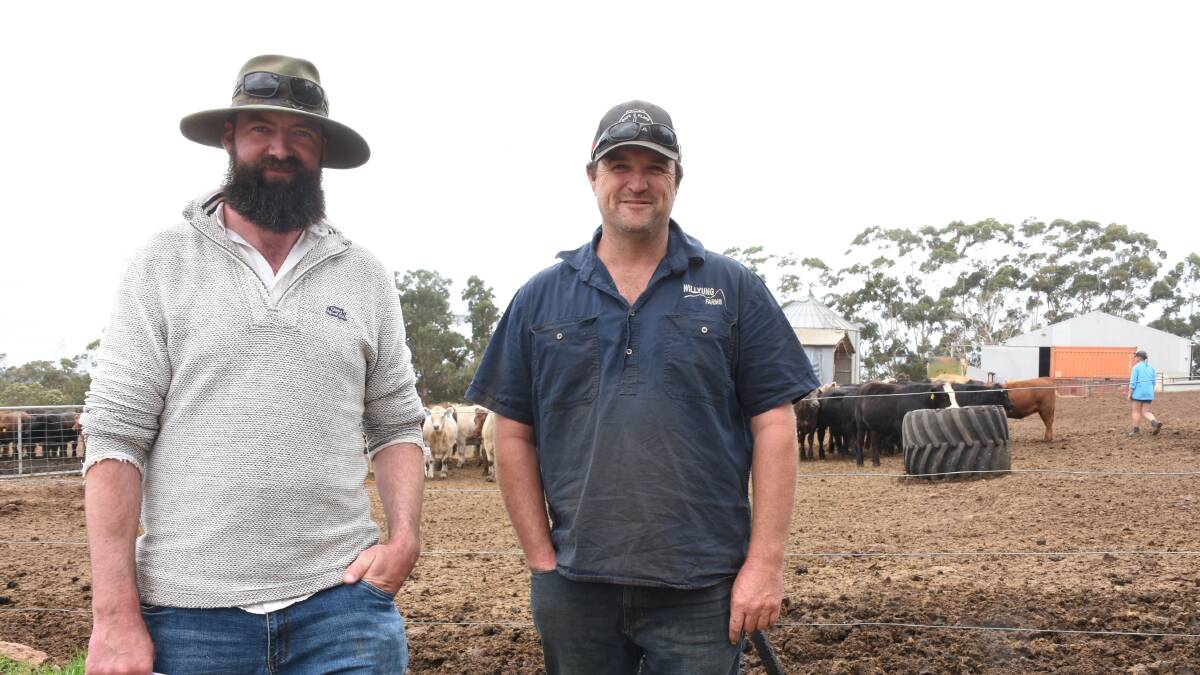 John Chambers (left), Mt Barker Pastoral, Mt Barker, discussed the performance of the cattle in the challenge with Willyung Feedlots Sandy Lyon.