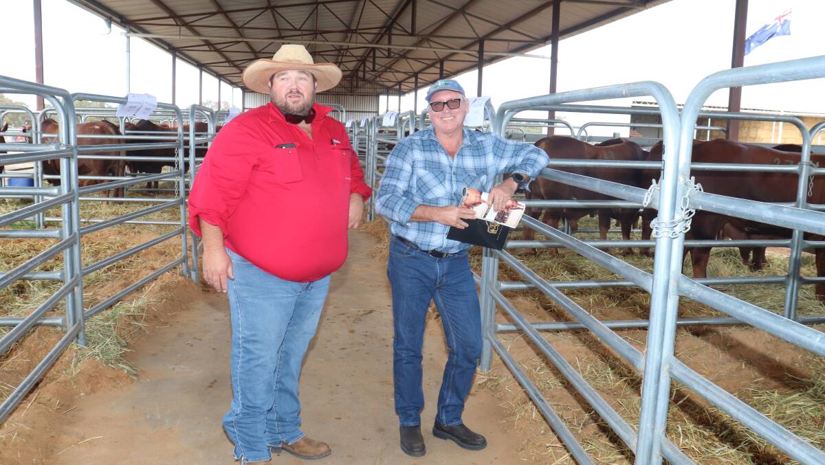 Among the sales larger volume buyers were Clint Avery (left), Elders Gascoyne/Pilbara assisting Bill Biggs, Wanna station, Upper Gascoyne, who purchased 19 bulls (16 Munda Reds and three commercial bulls) costing from $7000 to $14,000.
