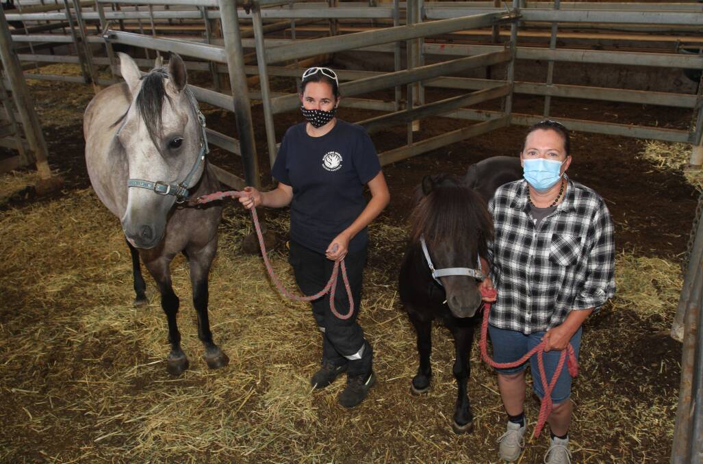 Horse owners Leanne Bauerle (left), Lower Chittering and Alison Maclean, Bullsbrook, with Ringer and Charlie, which were among hundreds of horses evacuated to the Muchea Livestock Centre due to the bushfire emergency last week.