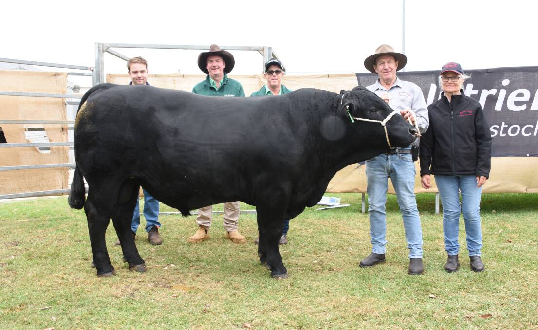 With the $14,500 top-priced Black Simmental bull at Tuesdays Nutrien Livestock Great Southern Blue Ribbon Female and All Breeds Bull Sale at Mt Barker sold by the Naracoopa stud, Denmark, were Naracoopa connection Liam Blechynden (left), Nutrien Livestock, Albany representative Michael Lynch, Nutrien Livestock commercial cattle manager Damian Halls and Naracoopa stud principals Kevin and Janice Hard. The bull was purchased by a return Esperance buyer operating on AuctionsPlus.
