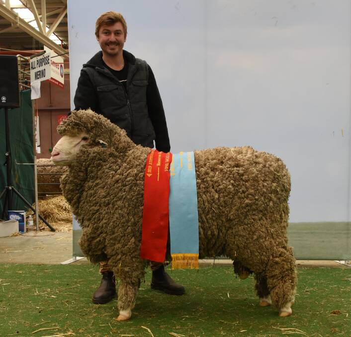 Westerdale stud's Craig Jackson, McAlinden, with the stud's reserve grand champion fine wool ram. The ram was also sashed the champion fine wool Poll Merino ram and champion August shorn fine wool Poll Merino ram.