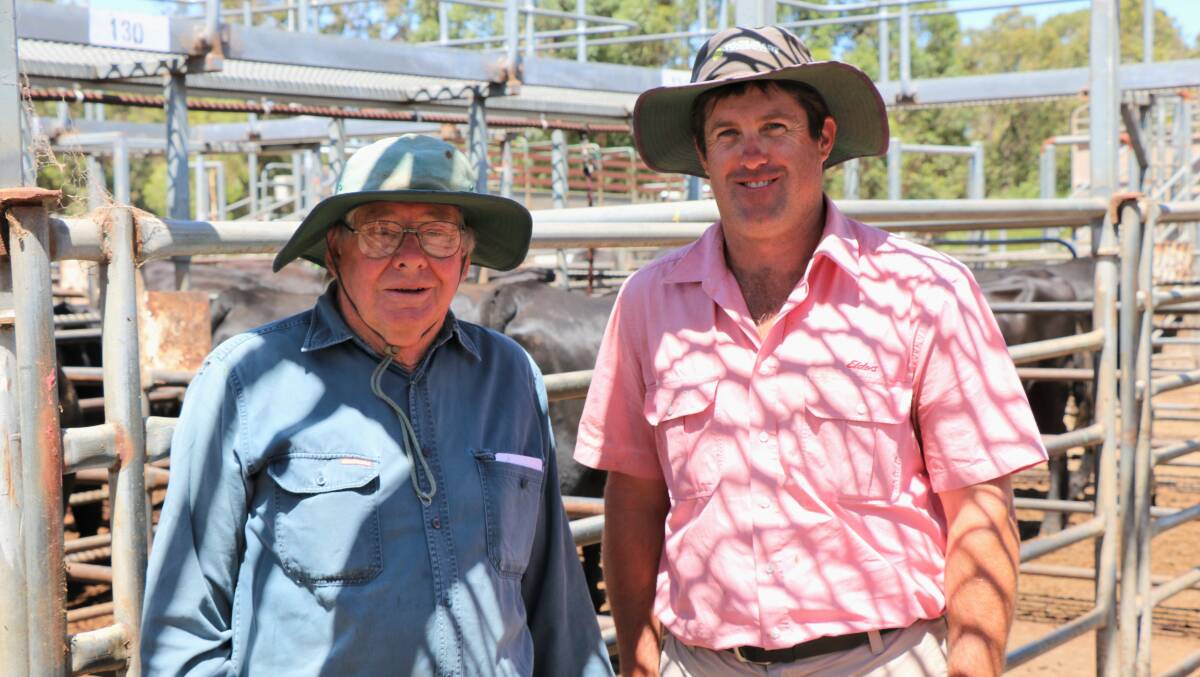 Bernie Ridley (left), Brunswick, looked over the heifers on offer with his agent Craig Martin, Elders Harvey/Brunswick. Mr Ridley bought several pens to grow out and mate for next seasons mated heifer sales.