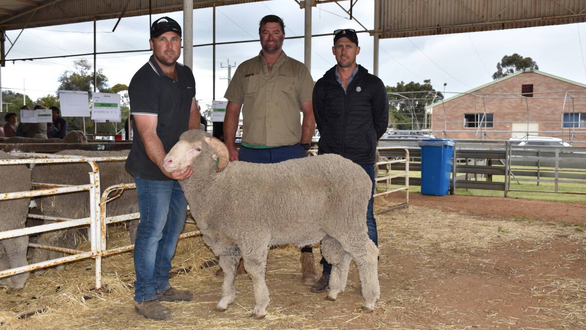 Lee Smith (left) holds one of Kingussie's $2400 top price Merino rams bought by Ricky Mott, Dumbleyung, at the Wagin ram sale. With them is Lees brother Troy Smith.