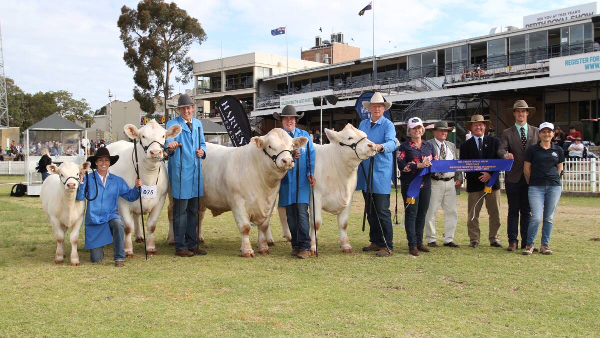 The 2021 Perth Royal Show interbreed breeders group of three was exhibited by the Thompson family, Venturon Charolais stud, Boyup Brook. With the group were handler Asher Goddard (left), Bradford Cattle Co, Margaret River, Harris Thompson, Venturon stud, handler Angus Llewellyn, Keith, South Australia, Andrew and Ann Thompson, Venturon stud, judges Charles and Peter Cowcher, Willandra Simmental and Red Angus studs, Williams and Kurt Wise, Southend Murray Grey stud, Woodanilling and Jenni Seaton, representing award sponsor Harvey Beef.