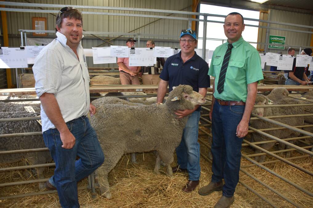 This Westwood Poll Merino ram was one of four from the stud to sell for $2500. With the ram were Epasco Farms' farm manager Nick Ruddenklau (left), who purchased the ram plus another four from the Westwood stud, Westwood principal Scott Welke and Nutrien Livestock Brindley and Chatley Esperance agent Darren Chatley.