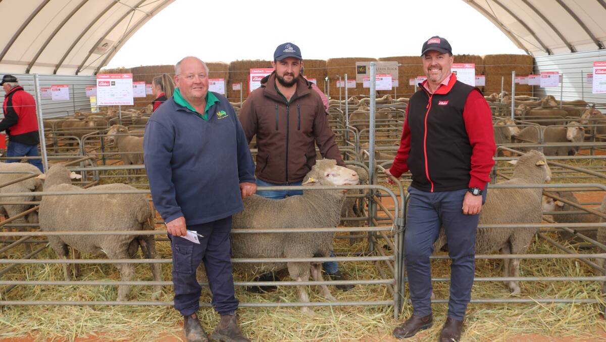 Father and son team Gavin (left) and Ashton Hagboom, South Dowerin and Elders stud stock representative Nathan King. The Hagbooms purchased 10 rams at an average of $1850.