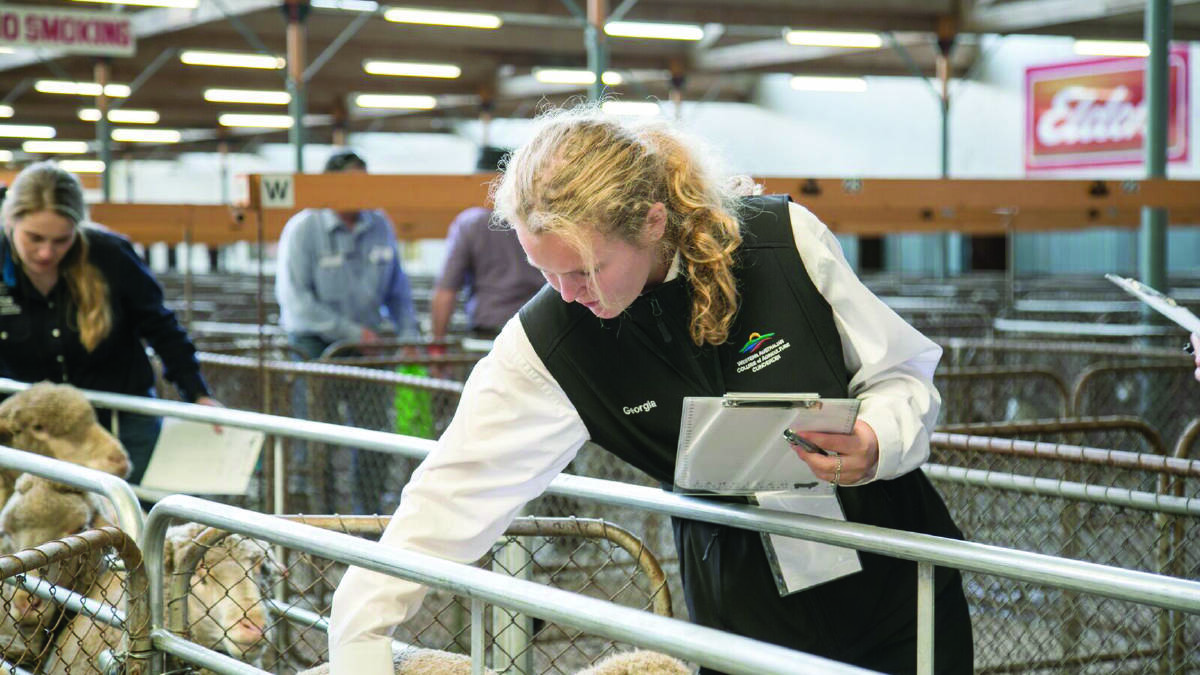 WA College of Agriculture, Cunderdin, then year 12 student Georgia Dawes, Yealering, was involved in the Merino Challenge in Adelaide last year.