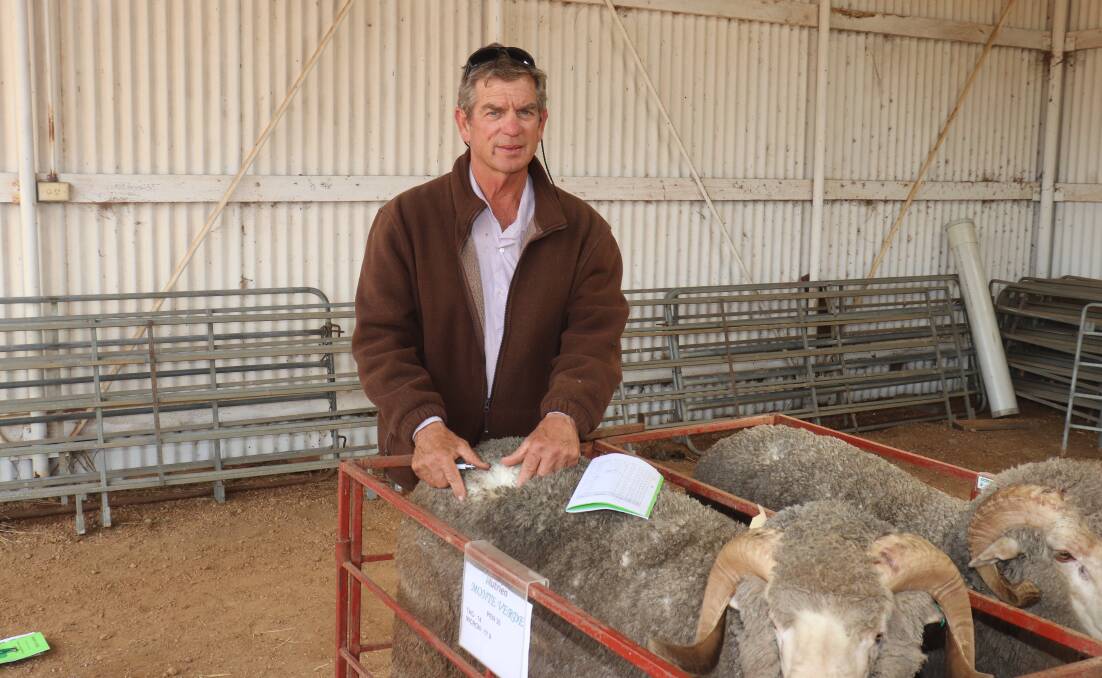 Volume buyer Grant Cooke, Grass Valley, purchased eight rams averaging $731.