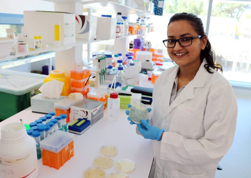 Anjana Sharma wants to dig deeper into research that looks at diseases in wheat.