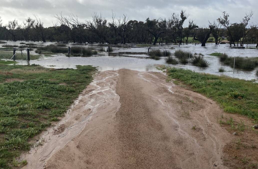 At Williams on the Rintoul family's farm, dams have gone from 30 to 50 per cent full to overflowing in the past two weeks. Up until August 3 the property had received 477 millimetres of rain for the year compared to 424mm for the whole of 2020. In July, 201mm of rain fell over 18 days, compared to 55mm over 14 days last year. In the last two weeks, 113mm of rain fell and the biggest rainfall event for the month was 41mm, whereas last year in July the largest rainfall event was 16.5mm. The property has already had 22mm in August which is half of what the family received in August 2020. The previous July rainfall record was in 2007, where 145mm was had for the month. Ann Rintoul took this photograph of Minigin Brook which now spans 300-400mm wide.