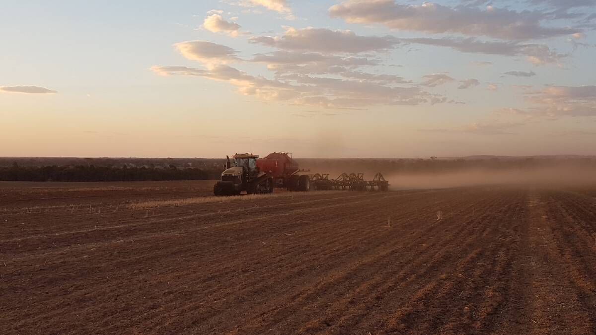 With GRDC investment, the West Midlands Group is conducting trials comparing paired row seeding systems with single row seeding systems.