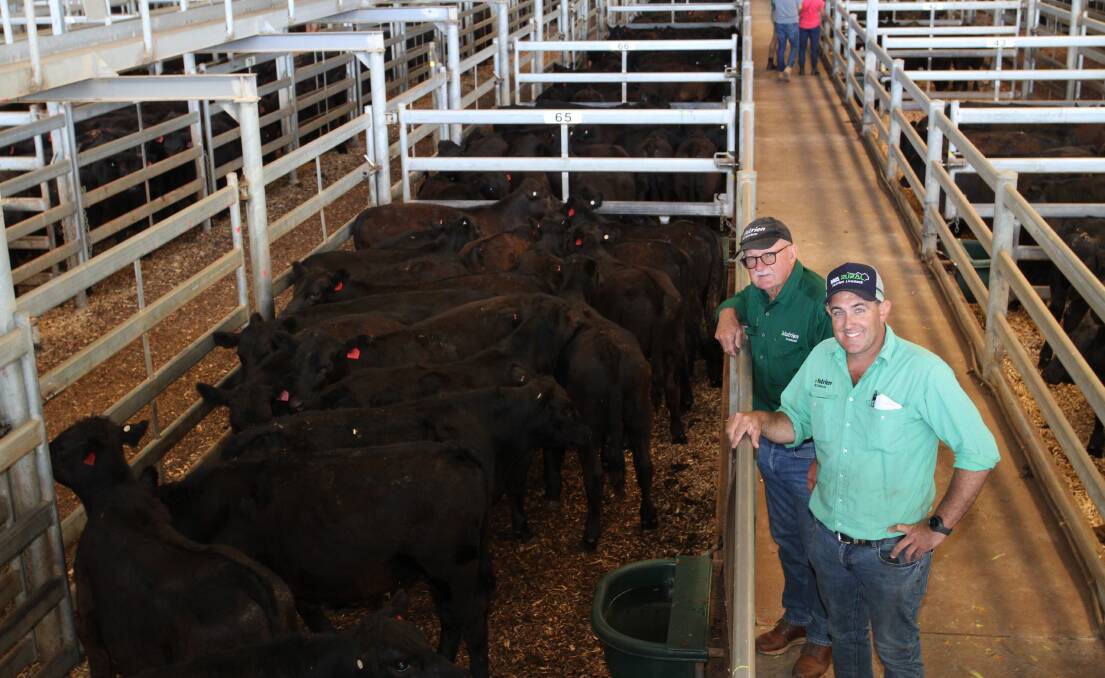 Roger Leeds (left), Nutrien Livestock, Midlands and pastoral and Leno Vigolo, Nutrien Livestock, Central Midlands and Wheatbelt, represented a couple of the sales biggest vendors of Angus weaners Bettini Beef, Gingin and BA Nangetty Enterprises, Mingenew.