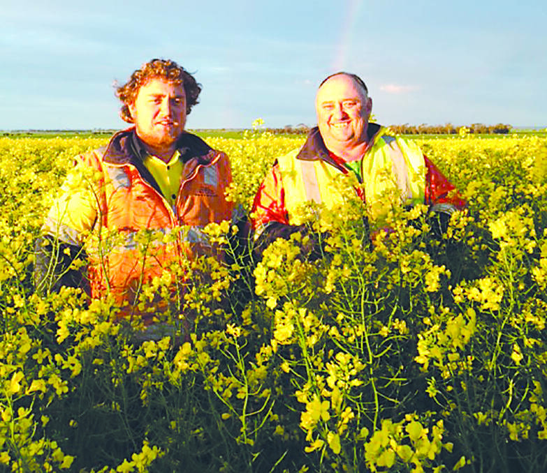 Joshua (left) and John Nicholls in one of their canola crops. The Nicholls family run a cropping enterprise in addition to their piggery.