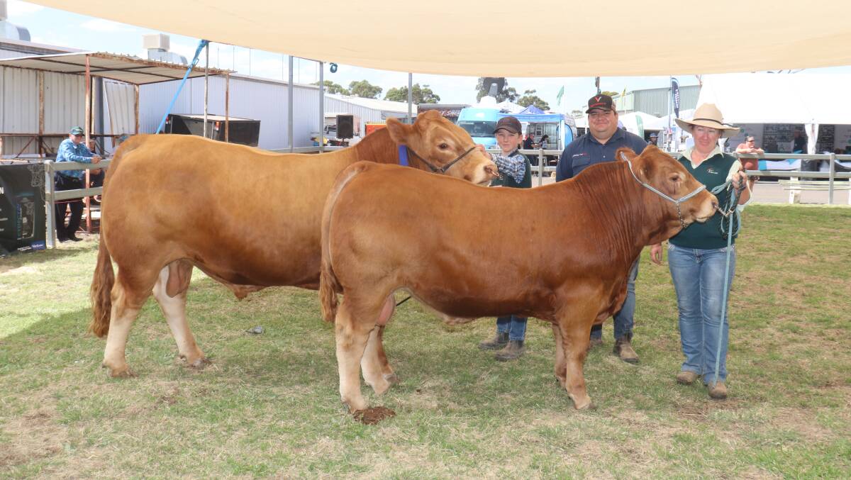 With the Zoetis pair of WA bred bulls exhibited by the Morrisvale Limousin stud, Narrikup, were Spencer (left) and Casey Morris and award sponsor Jarvis Polglaze, Zoetis.