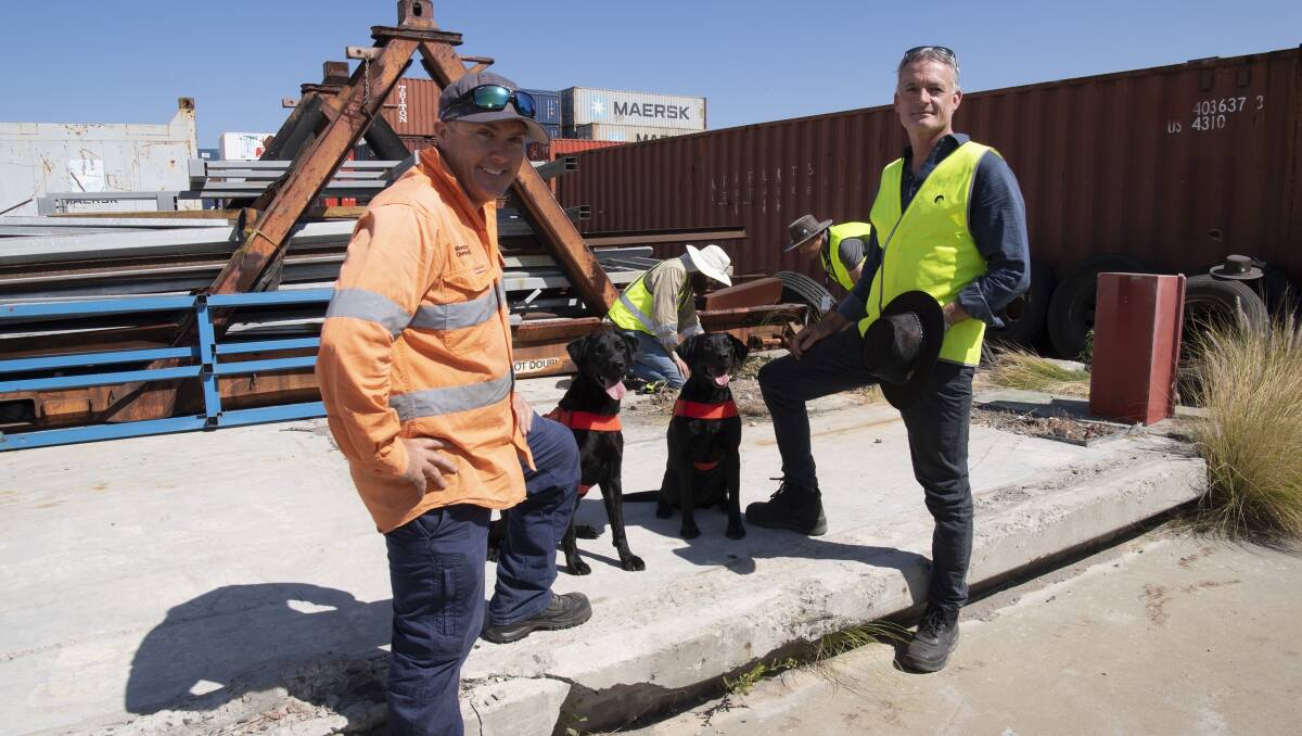 NRIFAEP-SEQ senior handler Justin Gibson (left) and DPIRD research officer Marc Widmer with odour detector dogs Cola (left) and Willow pause while surveying for RIFA with the DPIRD surveillance team at the Fremantle Port recently