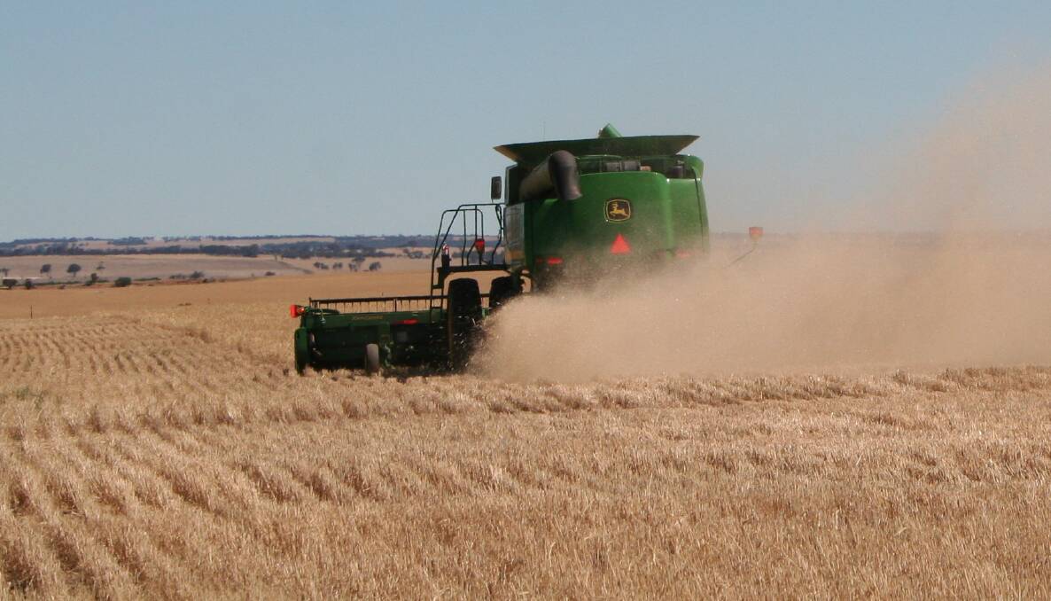 Rainfall shortage hits harvest yields and quality