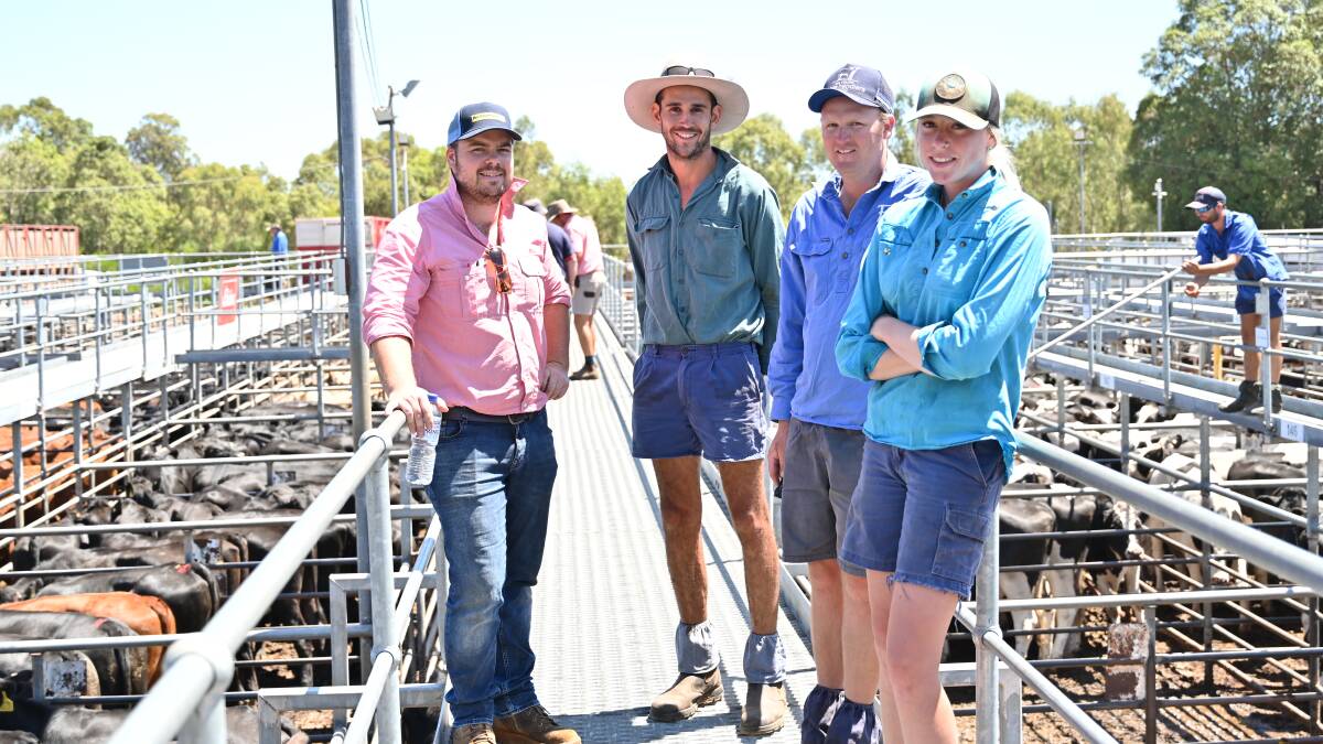 Elders Bunbury rural supplies representative Tristan McFarlane (left), Brendon Giudici, Mumballup and Bowie Beef farm managers Mat Fairbrass and Keely Angle, Bridgetown, were on the rails closely following market prices.