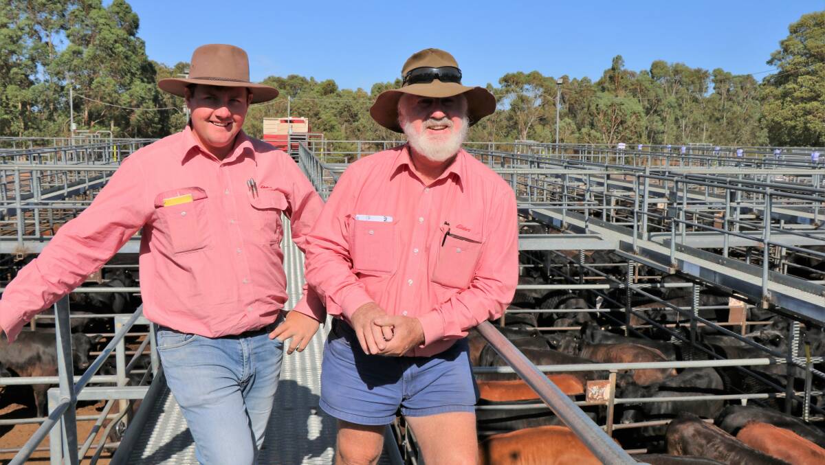 Elders auctioneer and Donnybrook representative Pearce Watling (left), was on the rail before the sale with Elders, Capel representative Rob Gibbings.