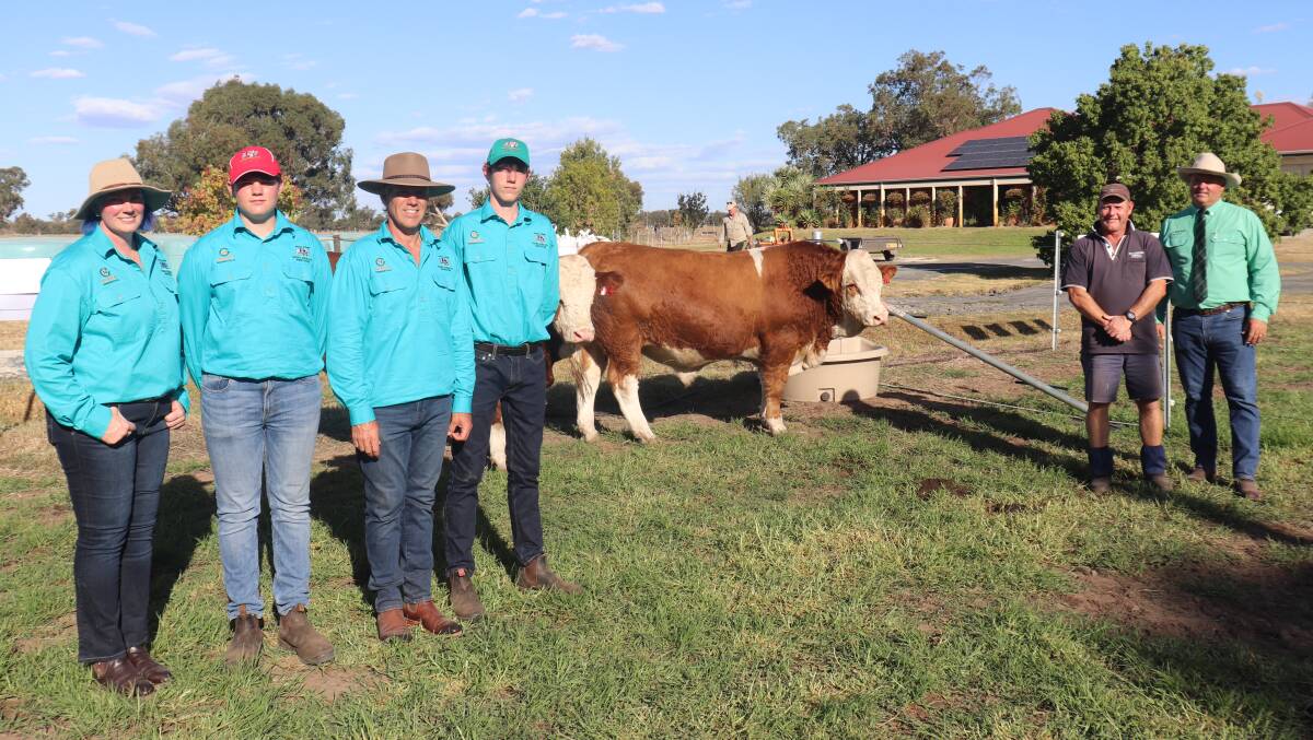 With the top-priced $16,000 bull, Nexgen Tamworth, from pen four, is Nexgen Simmental stud co-principal Jess Clews (left) with son Billy and stud co-principal Mick Clews, with their other son Max and the top-price buyer Peter Cowcher, Willandra Simmental and Red Angus stud, Williams, and Nutrien Livestock auctioneer and Capel agent, Chris Waddingham.