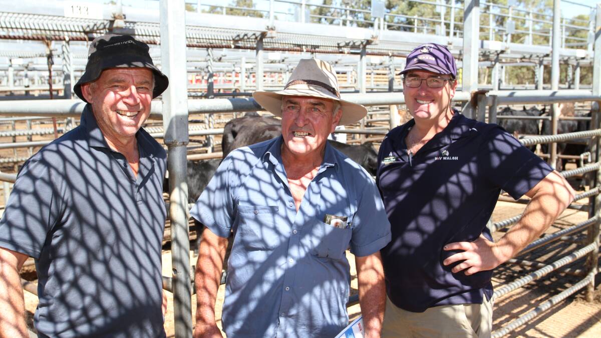 Bullock Hills stud principal Brad Patterson (left), Woodanilling, caught up with carrier Mark King, Brighton Farms Simmental and Spring Valley Charolais studs, Donnybrook and commercial Black Simmental yearling heifer buyer Adam Becker, ABL/V & V Walsh, Collie.
