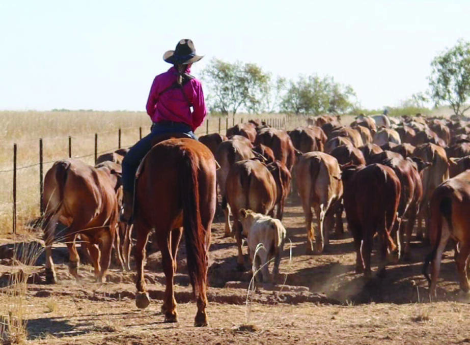 Camille Camp is a stockwoman at her family's 122,000 hectare cattle station in the Kimberley. With no two days the same, her unusual lifestyle has attracted a large following on her social media accounts.